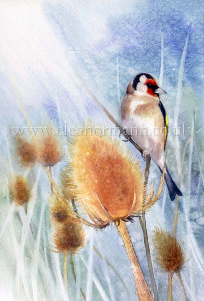 Sunburst - a Goldfinch and Teasel. Original watercolour painting by artist Eleanor Mann for sale. Prints and greeting cards are also for sale.