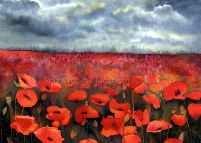 Original watercolour painting of Poppies in a Field by Suffolk Artist, Eleanor Mann
