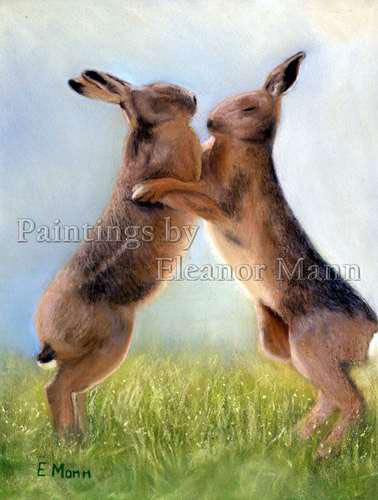 Boxing Hares - a pastel painting by Eleanor Mann
