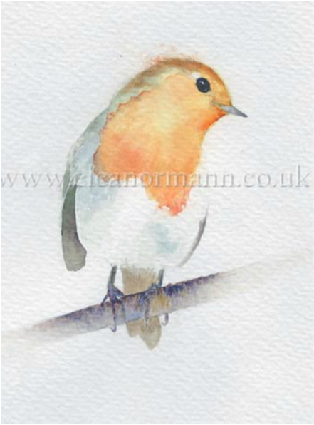 Original watercolour painting of a Robin on Bockingford Paper, Winsor & Newton Artist Quality Paint by Eleanor Mann