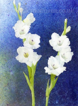 Gladioli a watercolour painting by Eleanor Mann