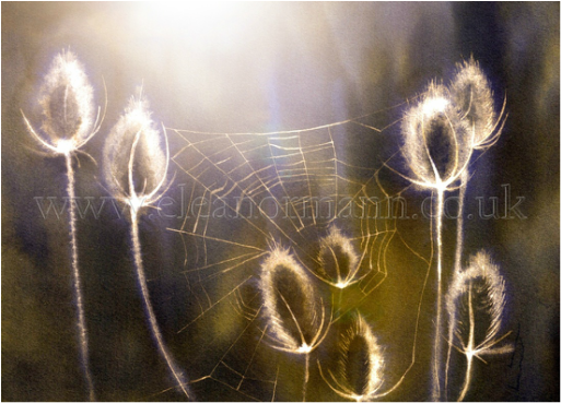  Teasel and Web by Eleanor Mann. Negative painting.