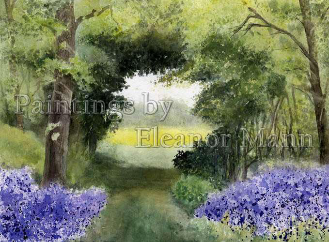 Bluebells at Dollery Wood, Bechamp St Paul, watercolour by Eleanor Mann