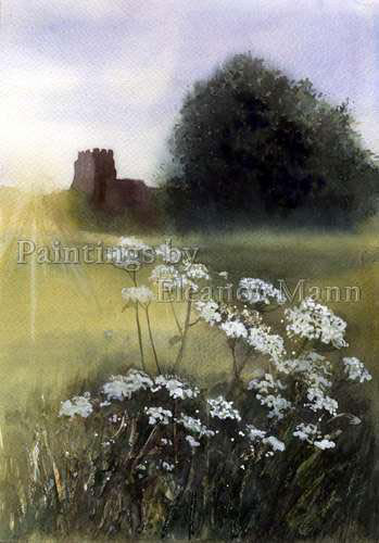 Cow Parsley, Evening Light. Painting in watercolour by Eleanor Mann