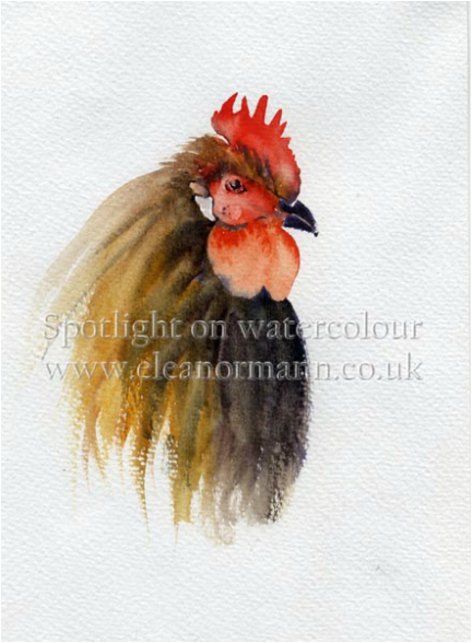 Cockerel painting Product review by Eleanor Mann for MaimeriBlu Superior Watercolours