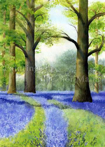 Bluebells a watercolour painting by Eleanor Mann