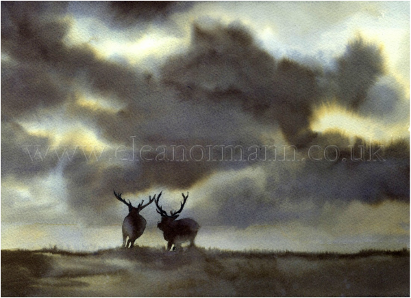 An original watercolour painting of deer rutting by Suffolk Artist, Eleanor Mann