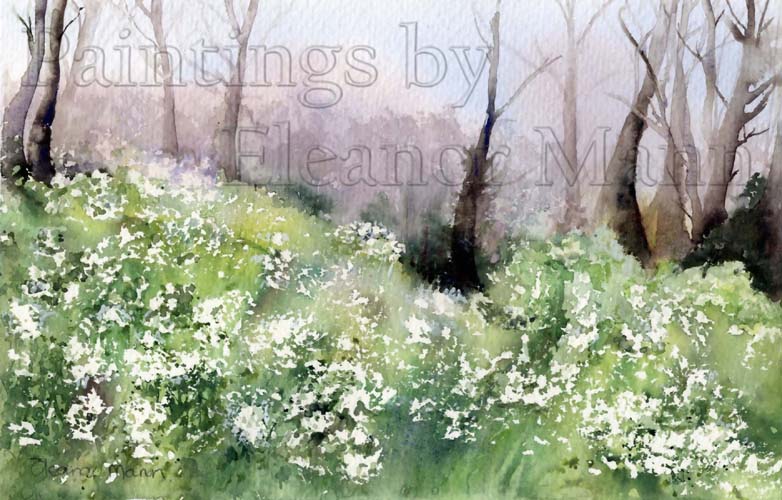 St Loy Woods, Lamorna, Cornwall, England in May a watercolour painting by Eleanor Mann