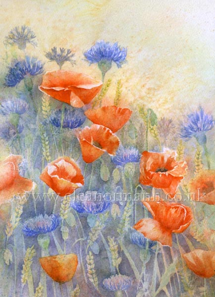 An Original Watercolour painting of Summer Flowers, poppies, cornflowers amongst corn by artist Eleanor Mann
