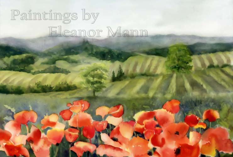 watercolour of poppies in France by Eleanor Mann