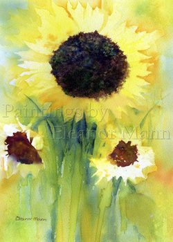 Sunflowers - an original vibrant watercolour painting by Eleanor Mann for sale