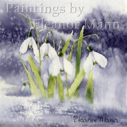 Original Watercolour painting of snowdrops in snow by Eleanor Mann