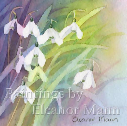 Original Watercolour painting of snowdrops. 3 in a series of 5 by Eleanor Mann