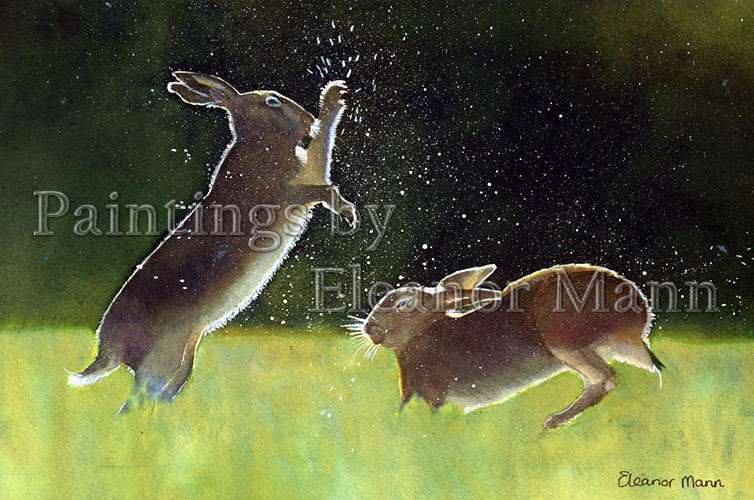 boxing hares is a watercolour picture by Eleanor Mann