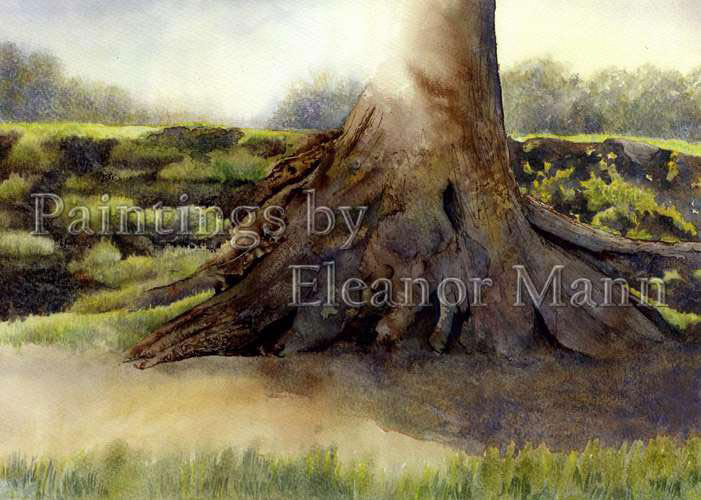Oak Tree at Scotch Pastures, Castle Hedingham watercolour by Eleanor Mann