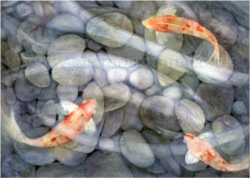 Koi and Pebbles-painted with texture in watercolour by Eleanor Mann
