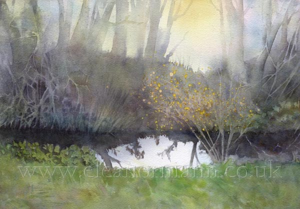 Early Morning Walk watercolour painting by artist Eleanor Mann Original for sale