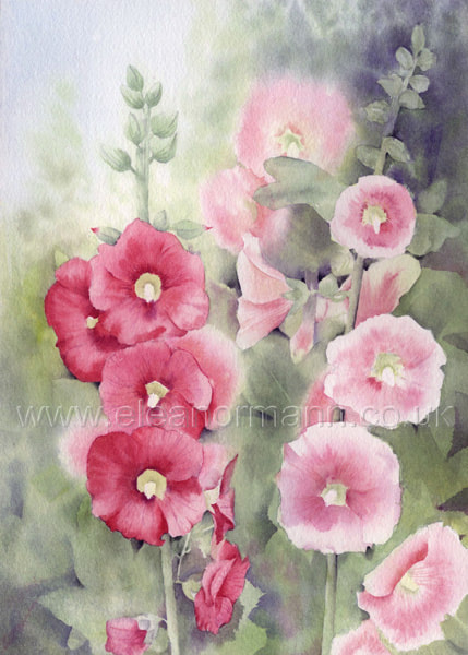 Summer flowers, Hollyhocks . An original watercolour painting by Suffolk artist Eleanor Mann. Original painting for sale. Prints and greeting cards will also be available. 
